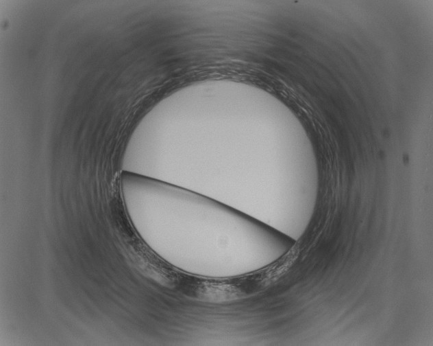 X0000083650605200703121747