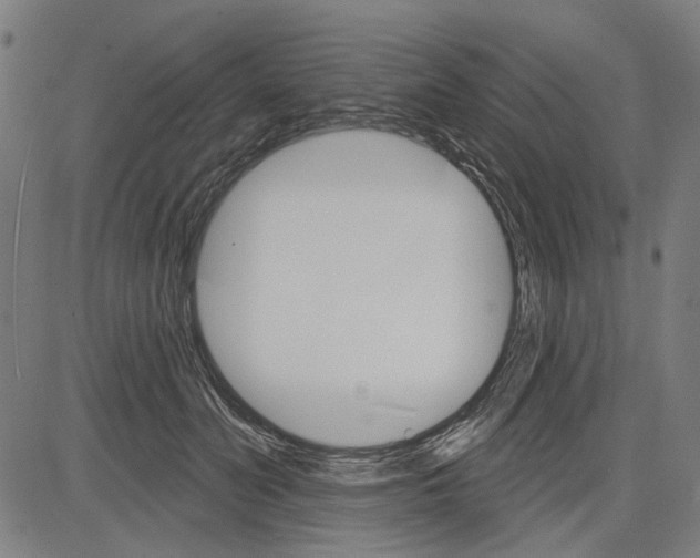 X0000083650606200703121747