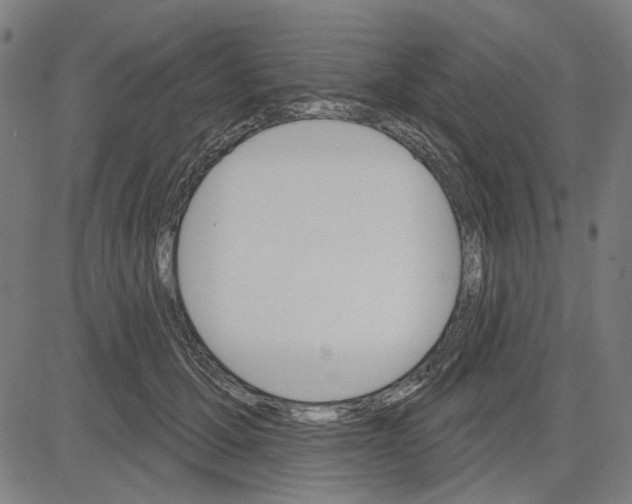 X0000083650607200703121747