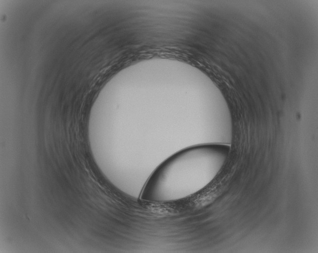 X0000083650608200703121747