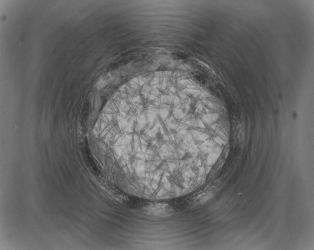 X0000083650609200703121747