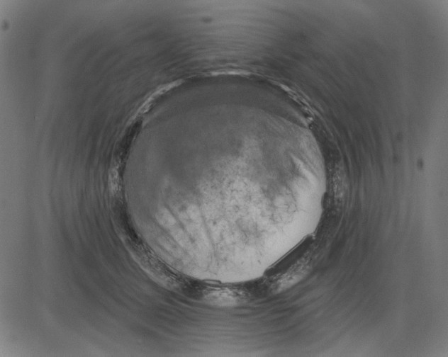 X0000083650611200703121747