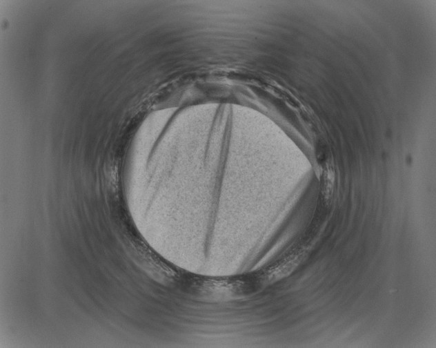 X0000083650613200703121747