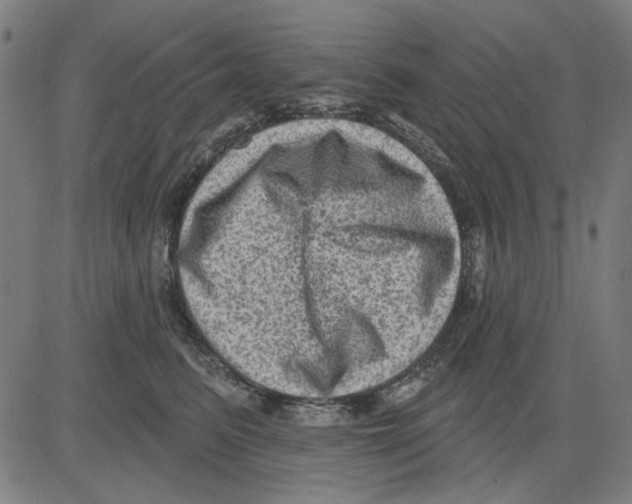 X0000083650615200703121747