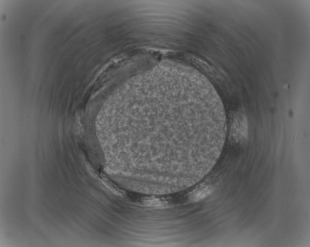 X0000083650616200703121747