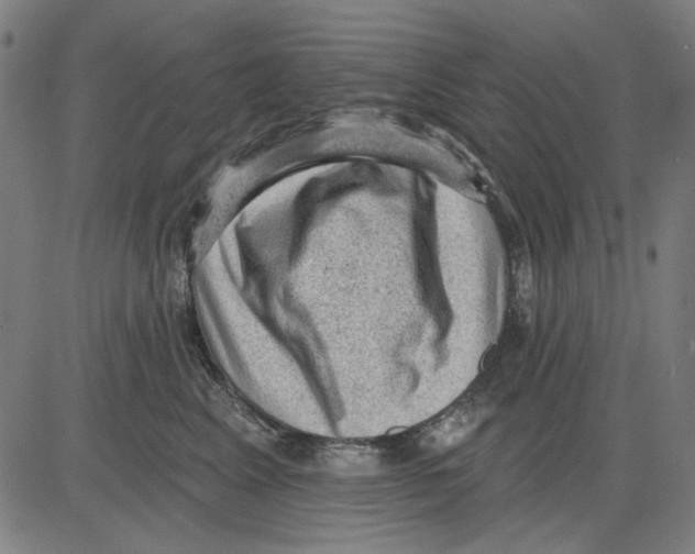 X0000083650617200703121747