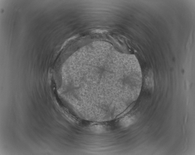 X0000083650620200703121747