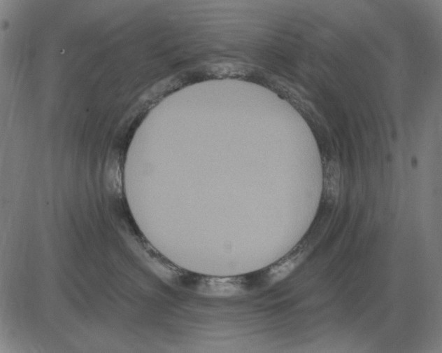 X0000083650622200703121747