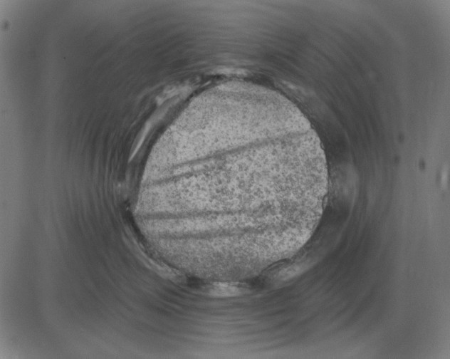 X0000083650623200703121747