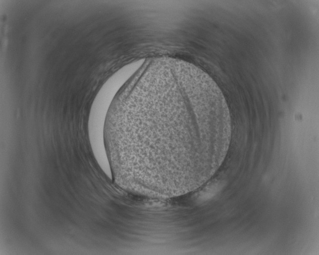 X0000083650624200703121747