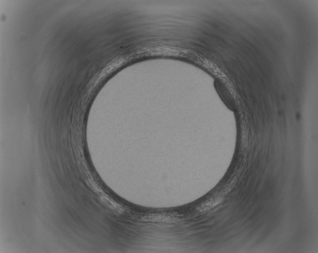 X0000083650625200703121746