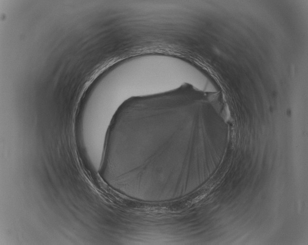 X0000083650626200703121746