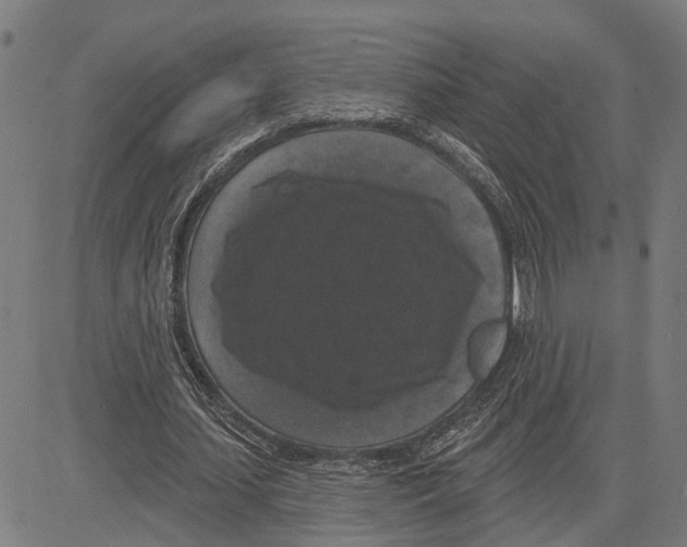 X0000083650627200703121746