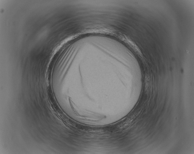 X0000083650628200703121746