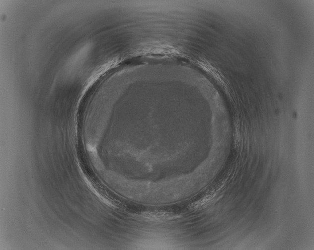 X0000083650630200703121746