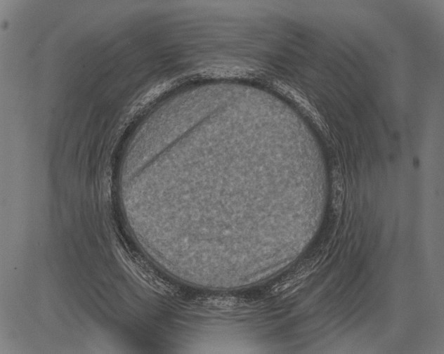 X0000083650631200703121746