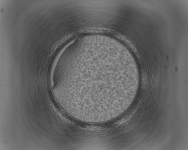 X0000083650633200703121746