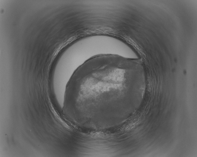 X0000083650634200703121746