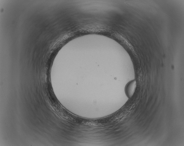 X0000083650635200703121746