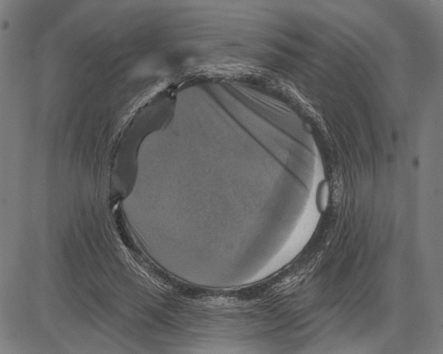 X0000083650637200703121746