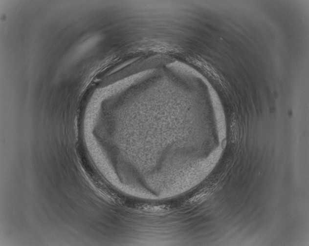 X0000083650638200703121746