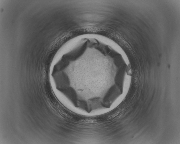 X0000083650639200703121746