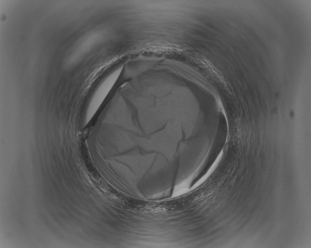 X0000083650640200703121746