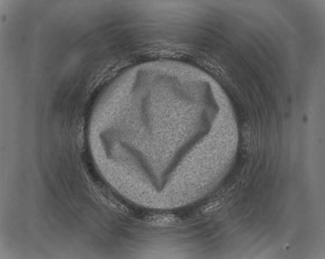 X0000083650642200703121746