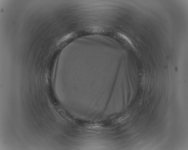 X0000083650643200703121746