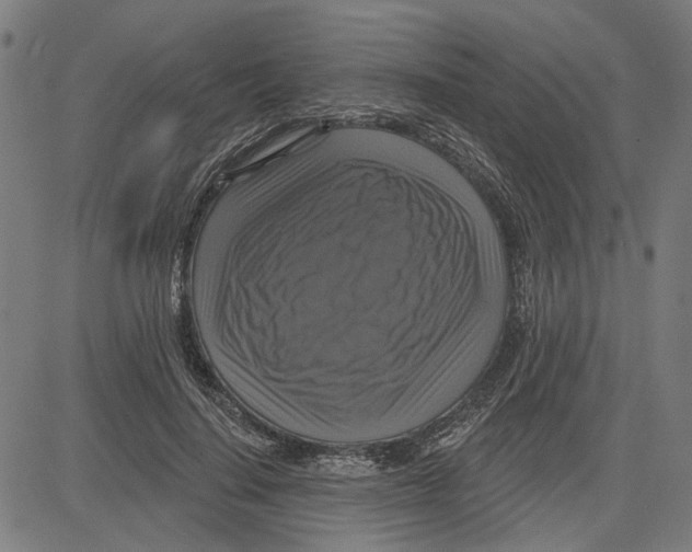 X0000083650644200703121746