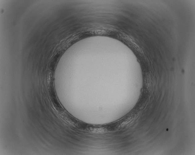 X0000083650645200703121746