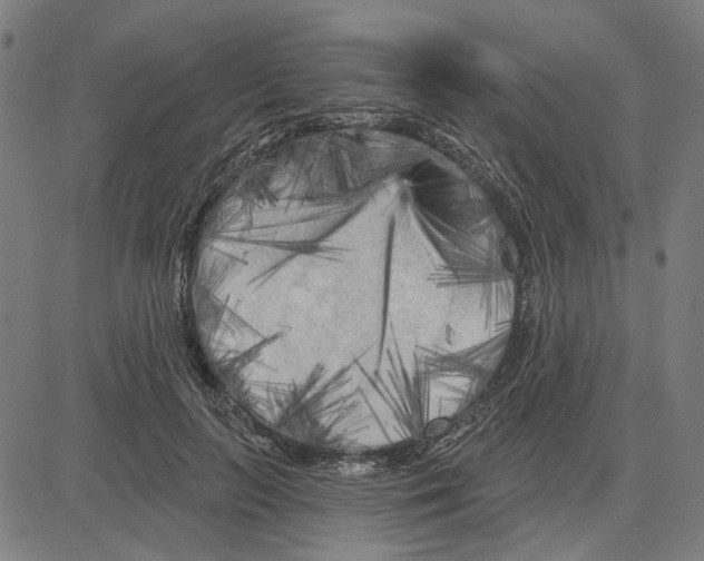 X0000083650647200703121746