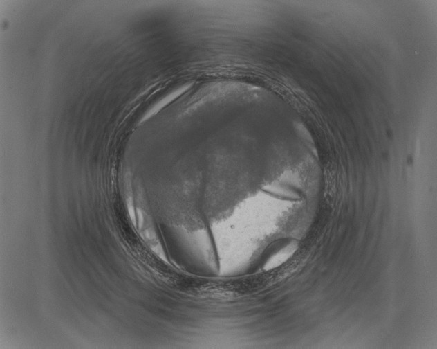 X0000083650648200703121746