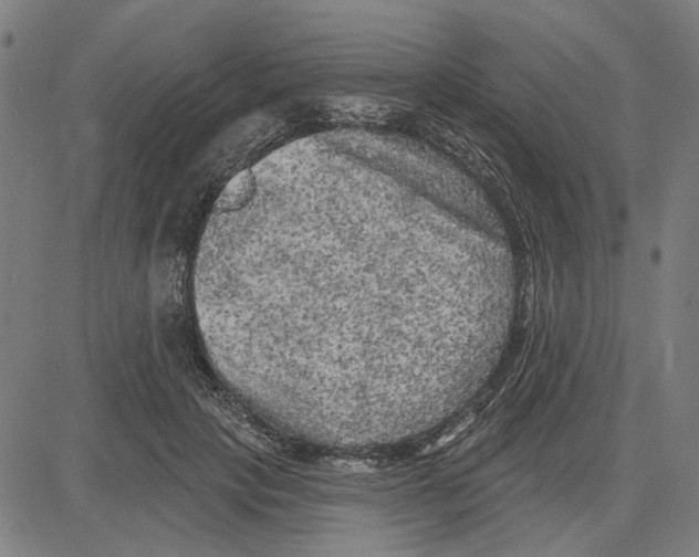 X0000083650649200703121746