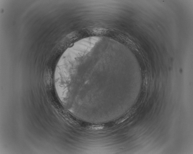 X0000083650651200703121747