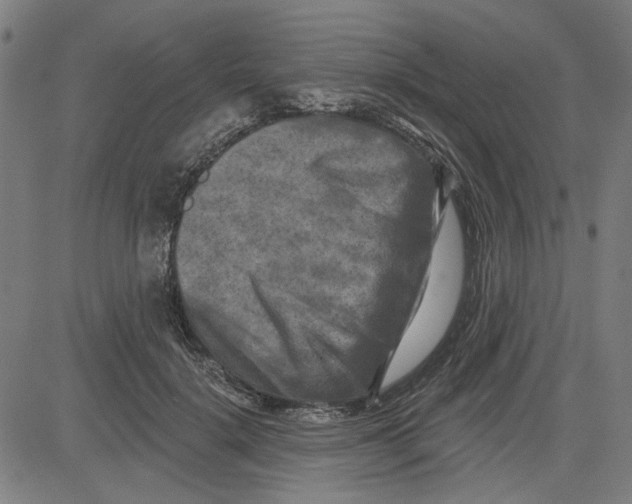 X0000083650652200703121747