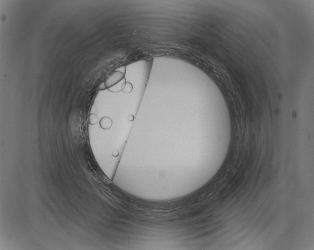 X0000083650653200703121747