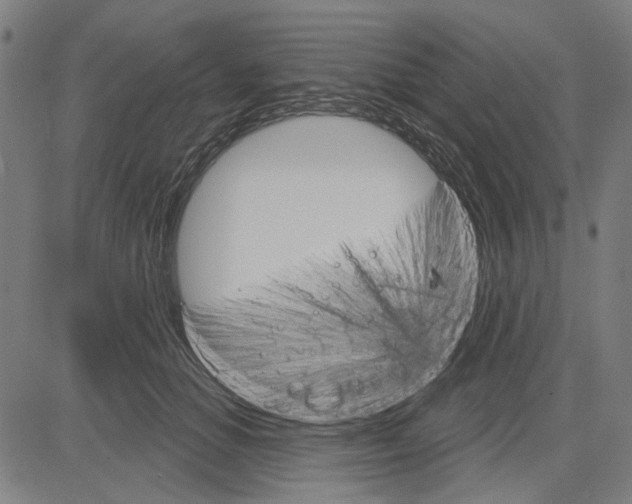 X0000083650654200703121747