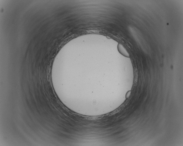 X0000083650655200703121747