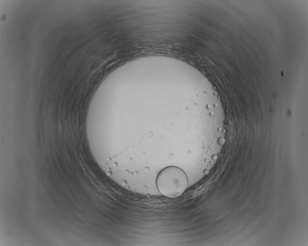 X0000083650656200703121747