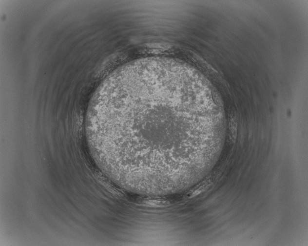 X0000083650657200703121747