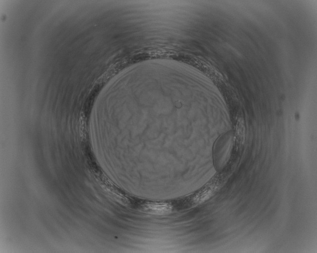 X0000083650659200703121747