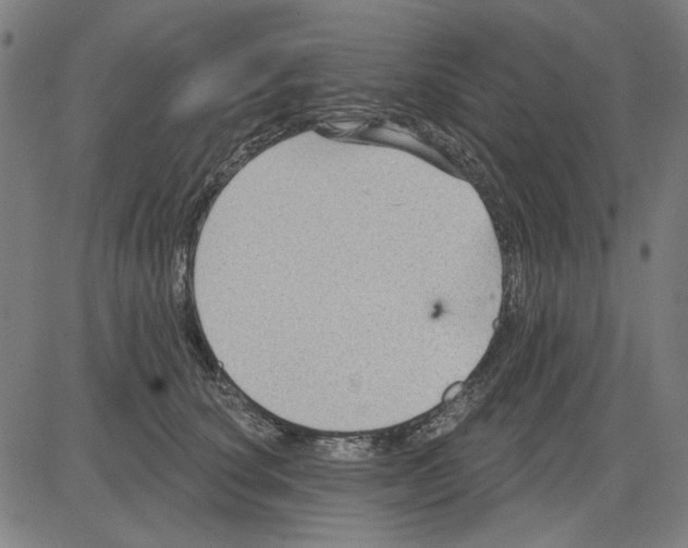 X0000083650660200703121747