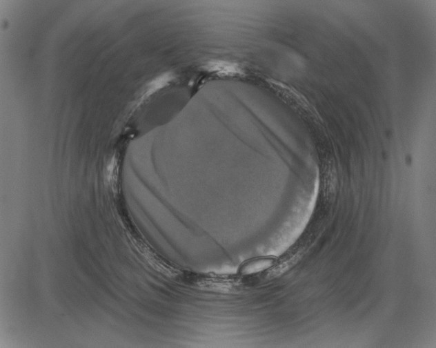 X0000083650661200703121747