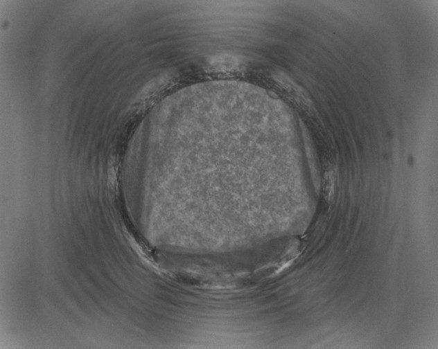 X0000083650662200703121747