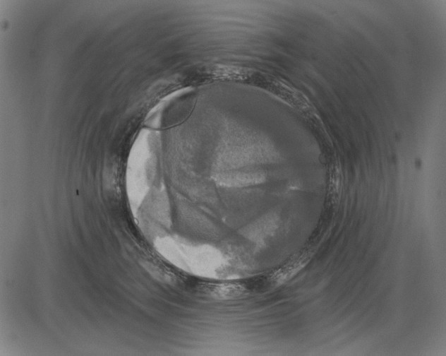 X0000083650663200703121747