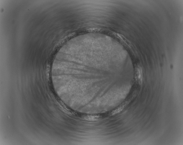 X0000083650664200703121747