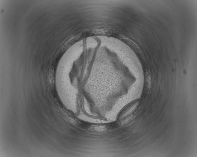 X0000083650665200703121747