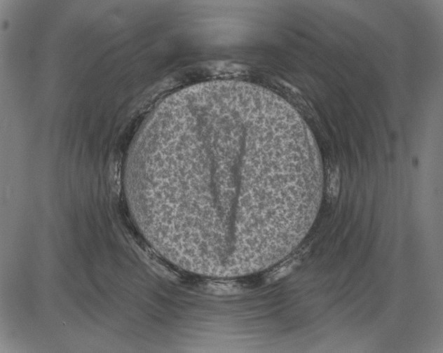 X0000083650666200703121747