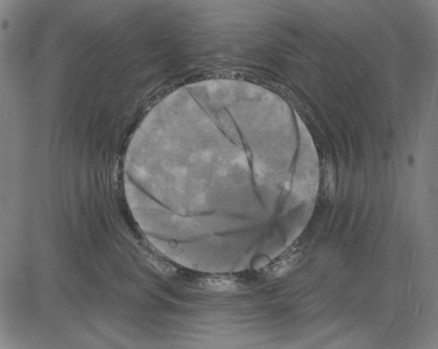 X0000083650668200703121747